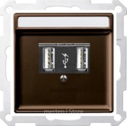 SD - USB зарядка для портативных устройств, коричневый